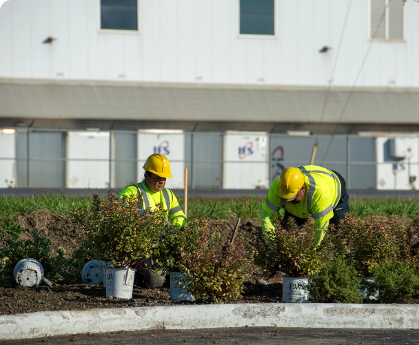 Garden Care Services