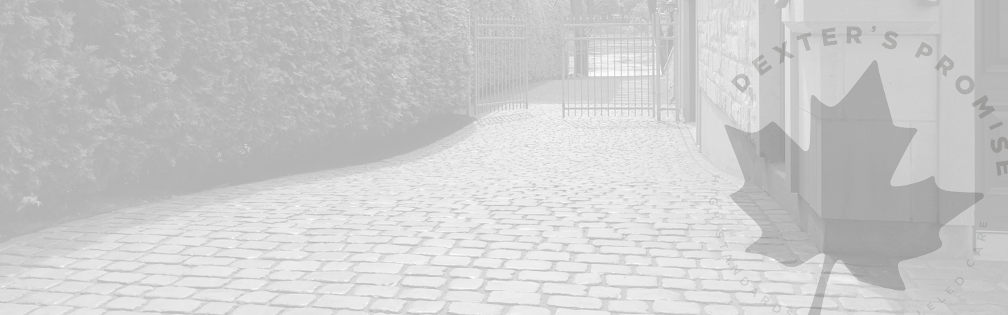 Dexter's Promise Background