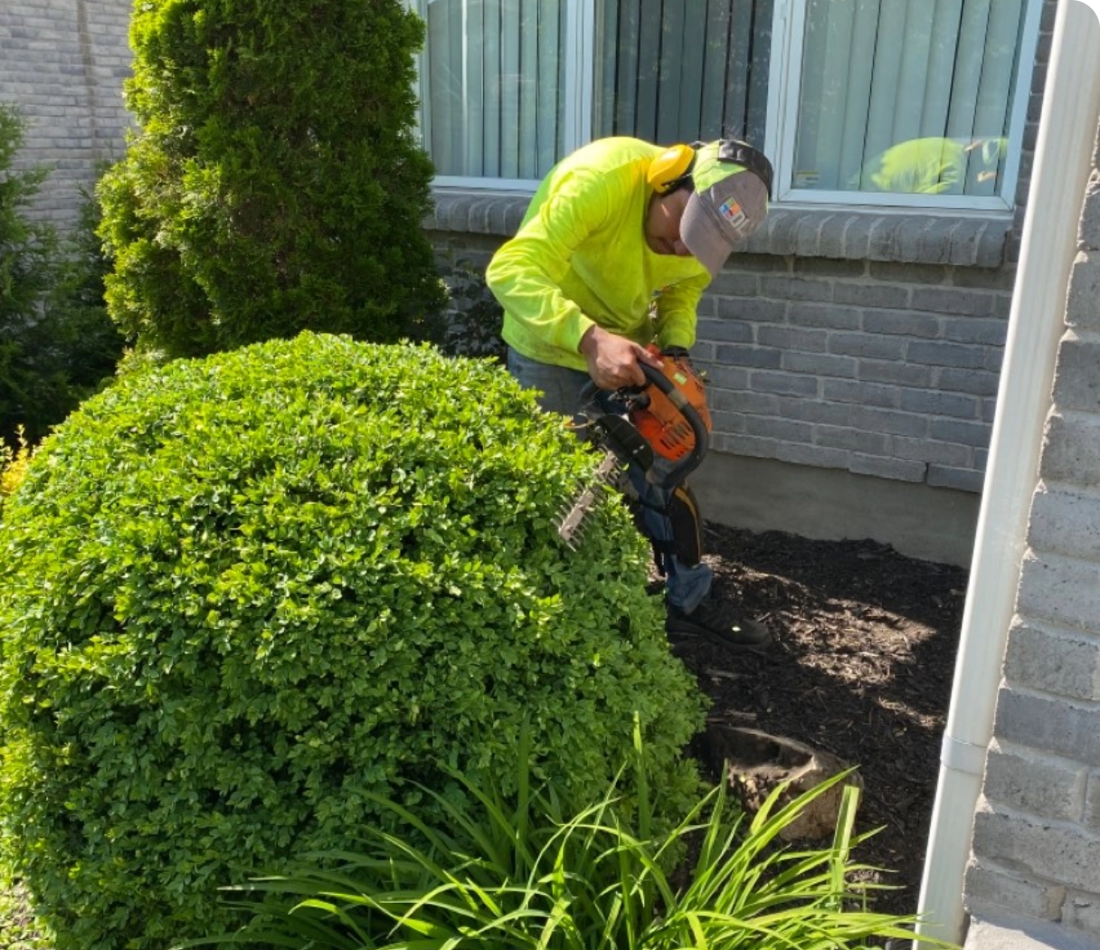 Détendez-vous en sachant que votre propriété est entre les meilleures mains